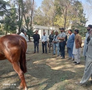 Trainings 6 Trainings 6