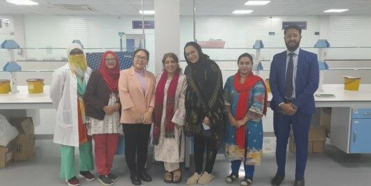 Mega Mao 2 Mega Mao 2